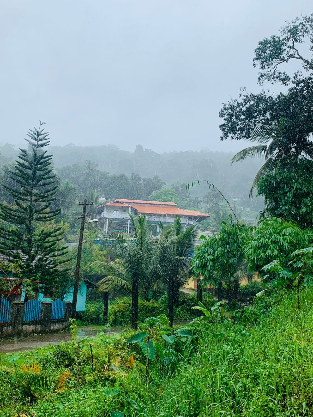 Sunset View Homestay amidst luscious greenery.